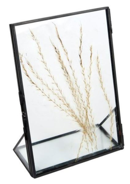 Gifts Amsterdam Photo Frame Dried Flowers 13 X 18 Cm Steel Glass Black Twm Tom Wholesale Management